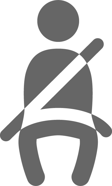 Seat Belt Icon - Inspection Violations